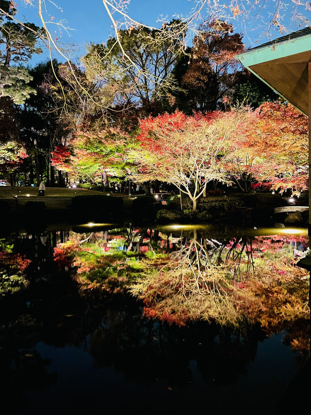 【東京の紅葉スポット🍁】池の水面に映り込む逆さ紅葉の絶景