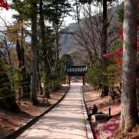 韓國大邱_Haeinsa Temple 해인사 世界文化遺產