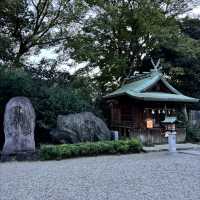 🇯🇵【愛媛県】伊豫豆比古命神社（別称:椿神社）！