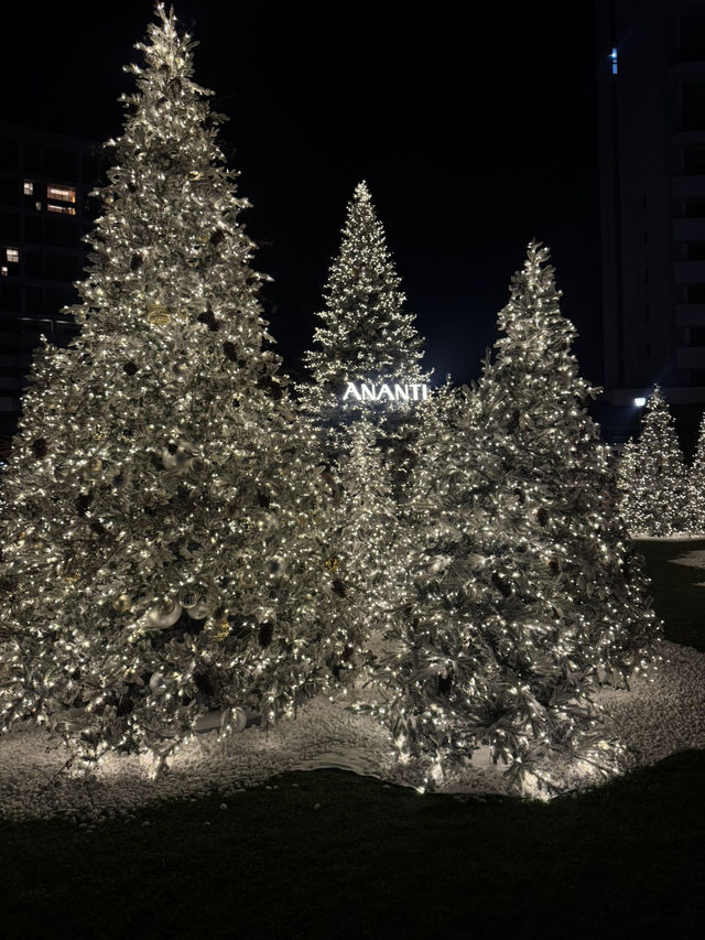 부산에서 만나는 눈 내리는 화이트 트리숲!✨