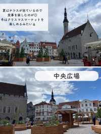 【エストニア】タリン日帰り観光のモデルルート紹介🇪🇪