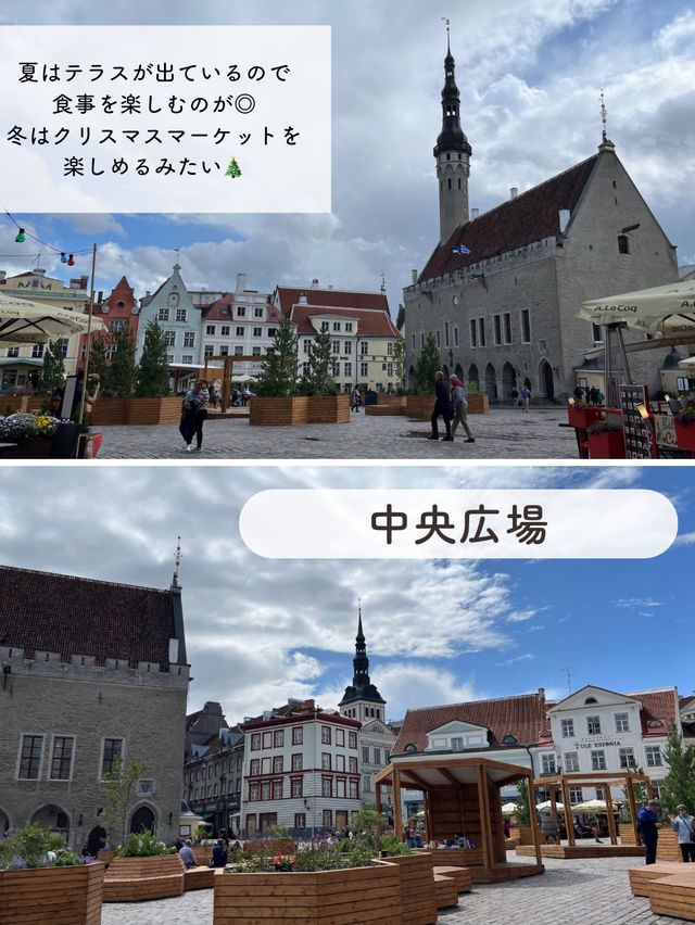 【エストニア】タリン日帰り観光のモデルルート紹介🇪🇪