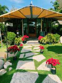  คาเฟ่ทุ่งดอกไม้ : Lapuné Cafe and Scene