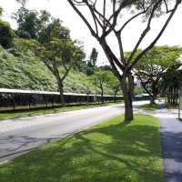 จุดถ่ายรูปเก๋ๆ @ NTU Singapore