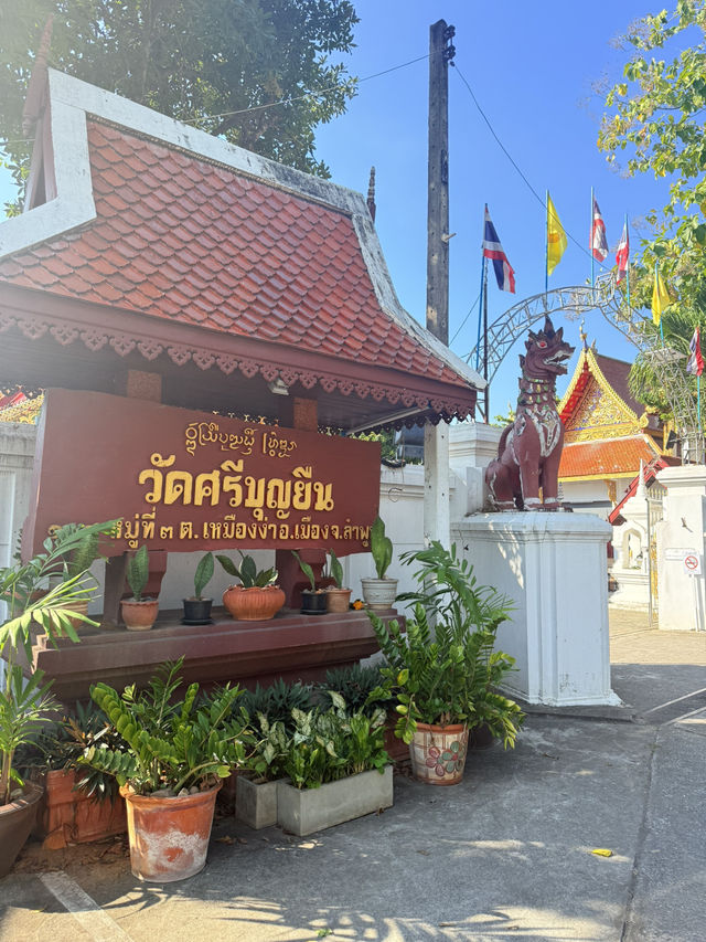 📍วังมัจฉา หน้าวัดศรีบุญยืน ลำพูน