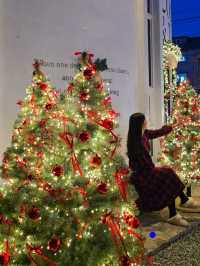 딸기메뉴와 트리가 예쁜 거제 유럽풍카페🎄