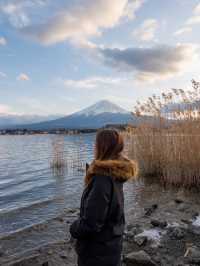 找不到最佳觀賞富士山🗻地點？一定要來這裏！