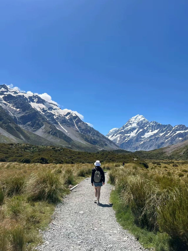 🏔️เดินเทรคกิ้งดู Mount Cook แบบชัดๆ
