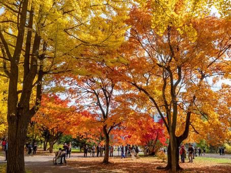 北海道🇯🇵大學