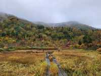 Tsugaike Nature Park