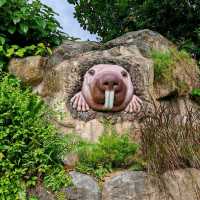Singapore Zoo and River Wonders - Perfect plan for weekend Getaways