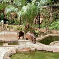 A Day of Wonders at Lost World of Tambun