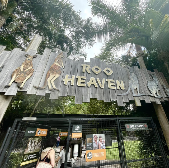 畢爾瓦必去景點|澳大利亞動物園