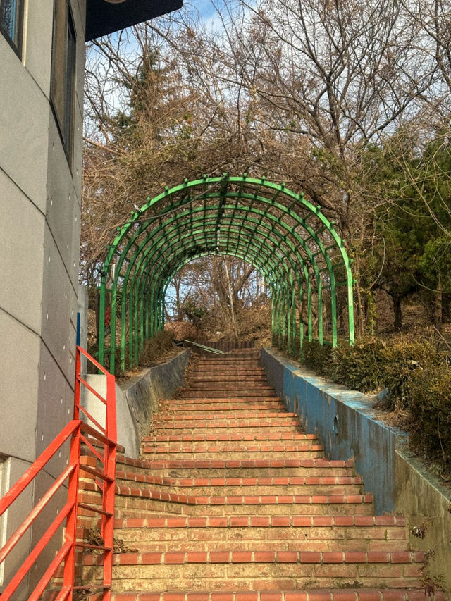 대전 시내를 한 눈에 담을 수 있는 곳