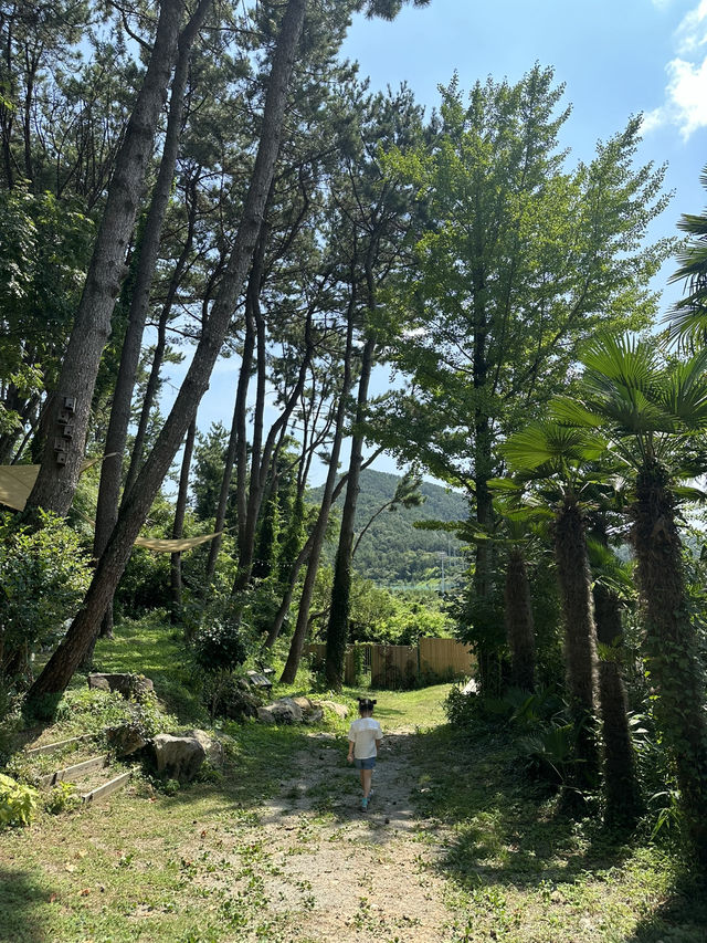 통영의 숨은 보석, 카페 쿠쿠오나 🍃✨