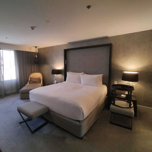 🩶The Silver Suite🩶