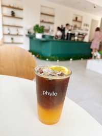 คาเฟ่ฟิโล Phylo Cafe