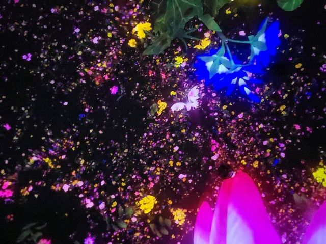 Dive Into a World of Light and Imagination