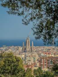 🇪🇸바르셀로나만 3번째인 여행자가 추천하는 바르셀로나 여행🇪🇸 