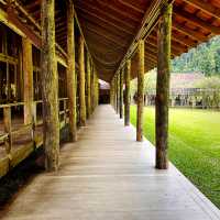 Tranquil Retreat at Pineyard Café