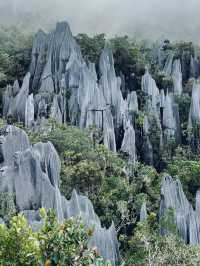 Into the Heart of Borneo: My Adventure in Gunung Mulu National Park