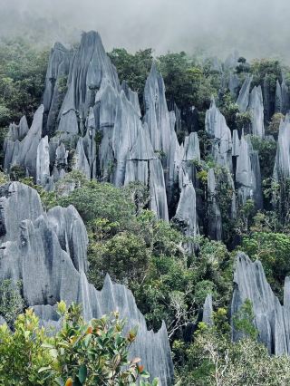 Into the Heart of Borneo: My Adventure in Gunung Mulu National Park