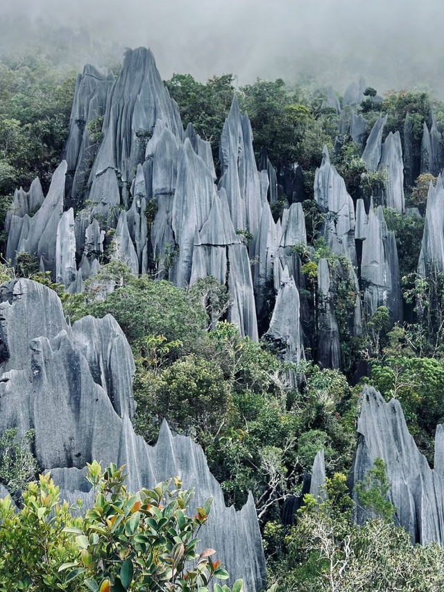Into the Heart of Borneo: My Adventure in Gunung Mulu National Park