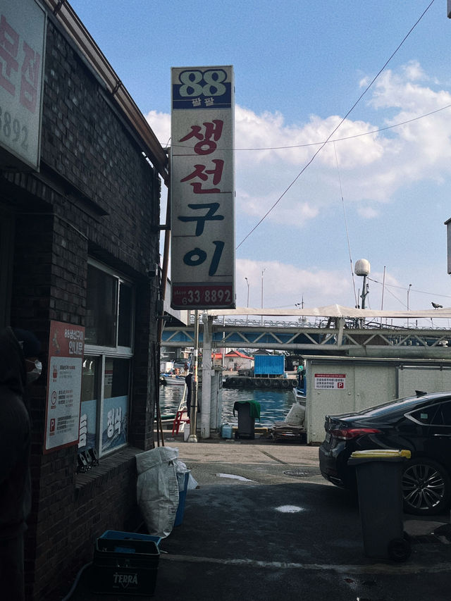강원도 속초 생선구이 맛집 추천✨