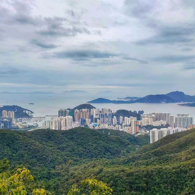 Unparalled Views