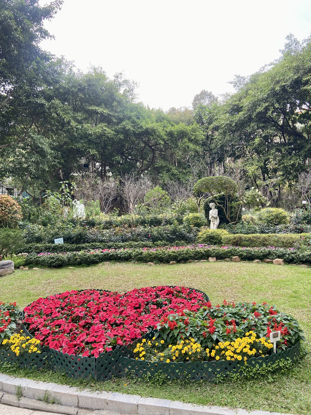 🏝️😎如熱帶雨林般的「城門谷公園」｜香港賞花拍照好地方🔥🏞️