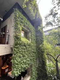 喧囂中的寧靜-菩薩寺