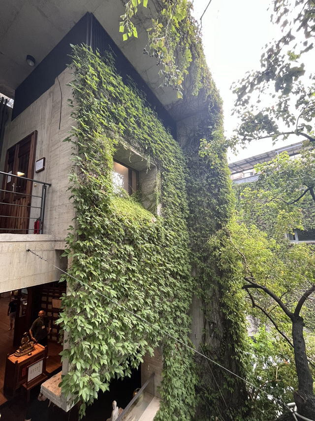 喧囂中的寧靜-菩薩寺