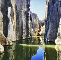 Kunming: The Destination You Didn't Know You Needed