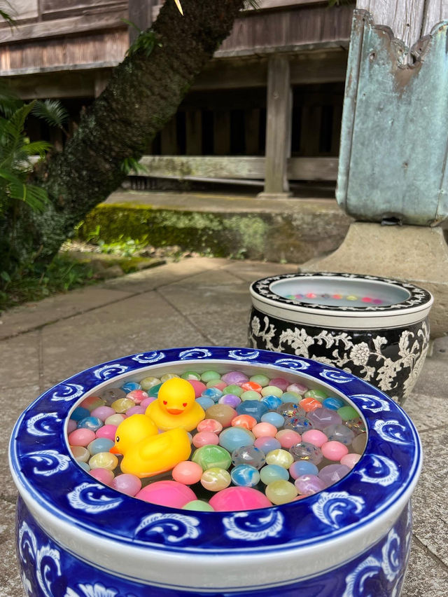 【静岡】ペリーロードの先にあるお寺