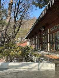 성북동 북악산자락의 🏔️자연과 힐링할 수 있는 서울 사찰투어 여행지 ✨