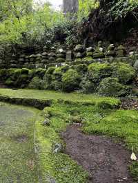 【箱根】箱根に行ったら絶対行きたい!!