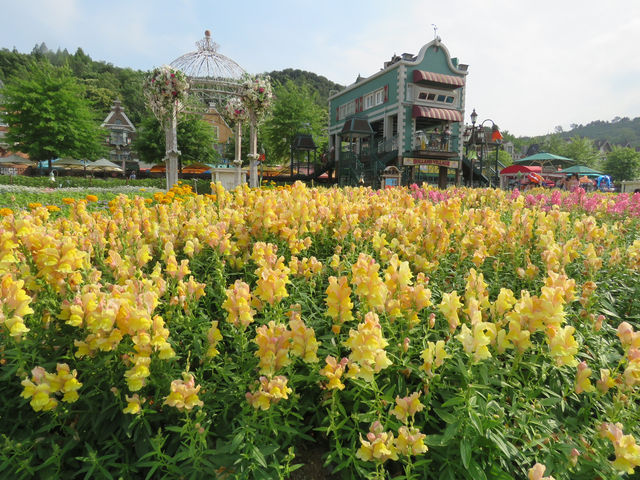 🇰🇷 首爾超美打卡樂園！