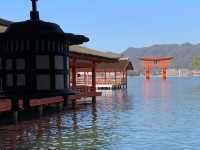 ☾︎広島☽︎ 海に浮かぶ鳥居が象徴的