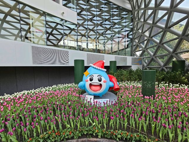 ทิวลิปบานที่ระยอง