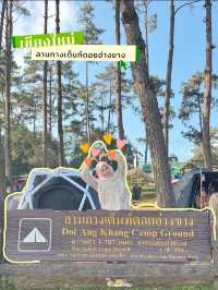 ลานกาวเต็นท์ดอยอ่างขาง