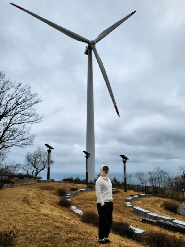 영덕여행코스로 추천하는 오션뷰공원