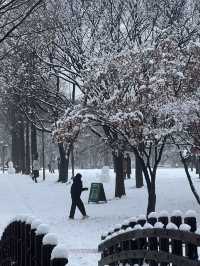 Seoul forest ในวันหิมะตก