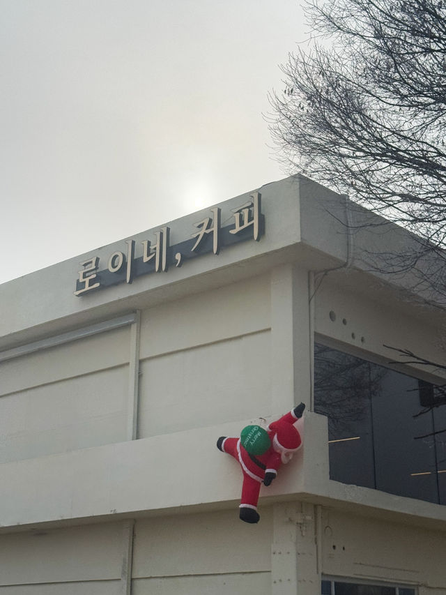전주 근교 김제 신상 카페 ‘로이네 커피 로스터즈’