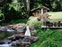 🌿 หลงเขา คาเฟ่สุดฮิตที่ไม่ควรพลาดเมื่อมาน่าน