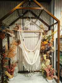 A Cozy Escape at Hooga