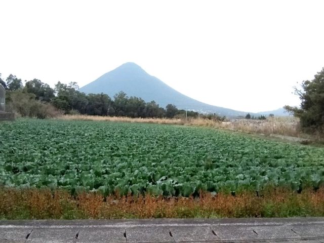 搭乘指宿玉手箱號，遊指宿溫泉，山川站騎自行車遊長崎鼻