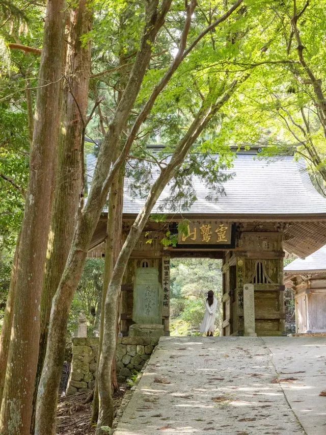 【徳島県/勝浦町】お遍路のお寺で出会った特別な体験