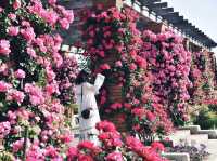 《横浜》秘密の花園にて