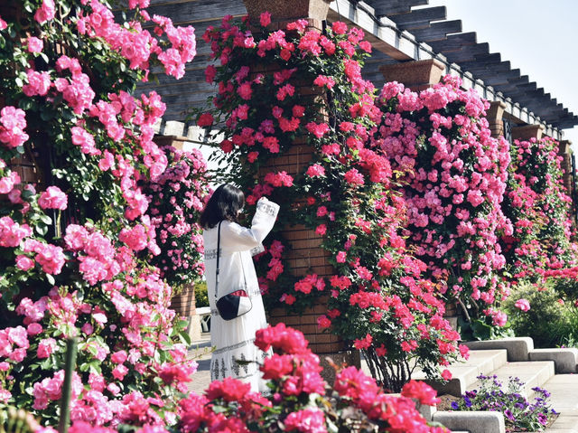 《横浜》秘密の花園にて