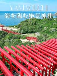【海に臨む123基の赤い鳥居⛩️】お賽銭入るかなチャレンジも楽しめる絶景神社